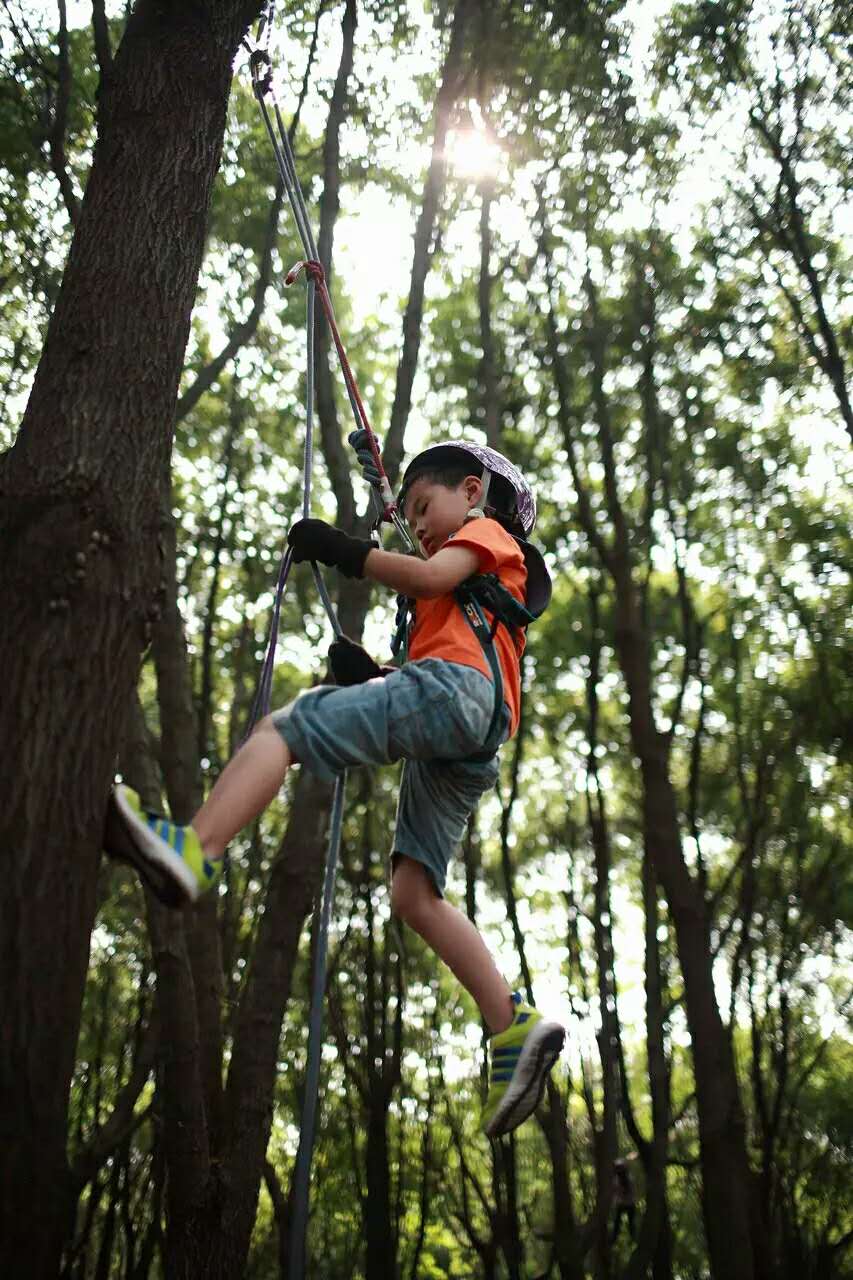 驴屋户外 - 亲子户外|森林之约,攀树新玩法